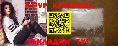 прущие грибы Можайск