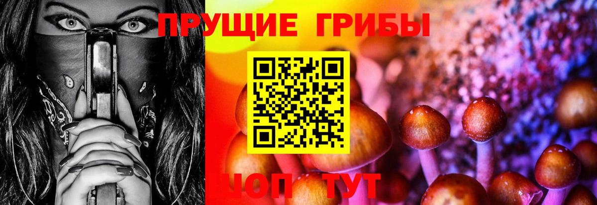 Черногорск  Галлюциногенные грибы MAGIC MUSHROOMS  Галлюциногенные грибы Psilocybe  Вход с VPN 